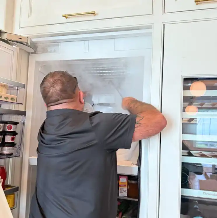 Professional Freezer Repair Service