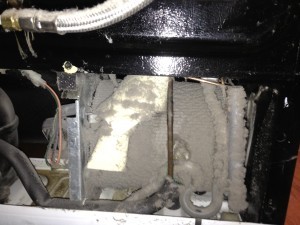 Condenser coils behind refrigerator