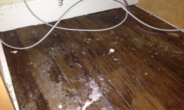 A cluttered area behind the refrigerator in a Charleston home, showing a dirty wooden floor with tangled wires scattered across it.