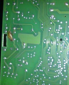 Bug in Electric Board